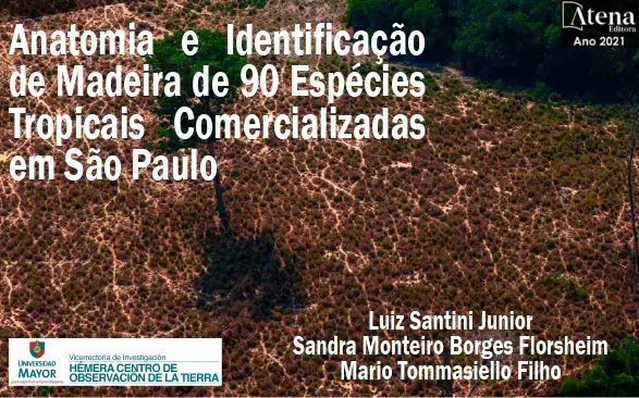 actividad