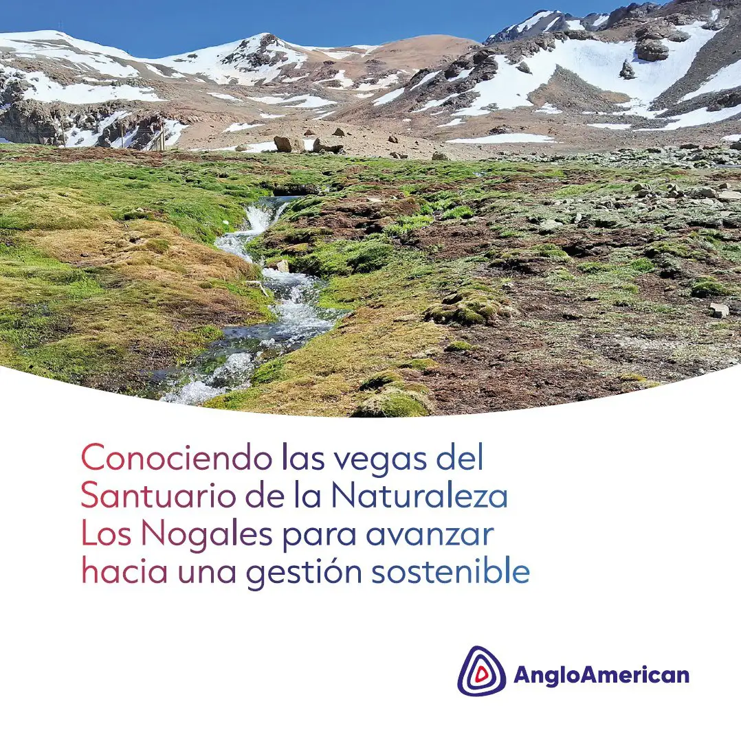 actividad