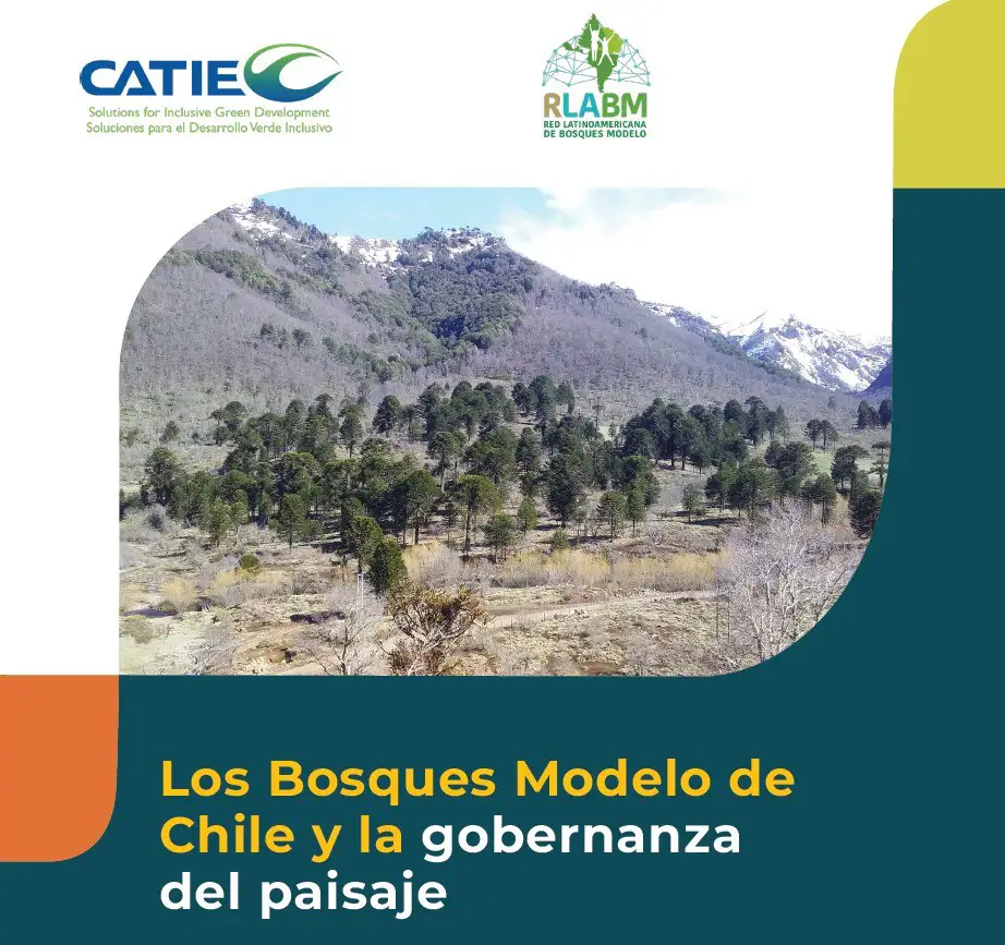 actividad