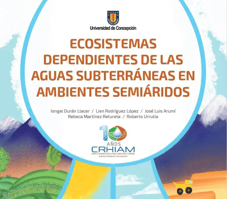 actividad