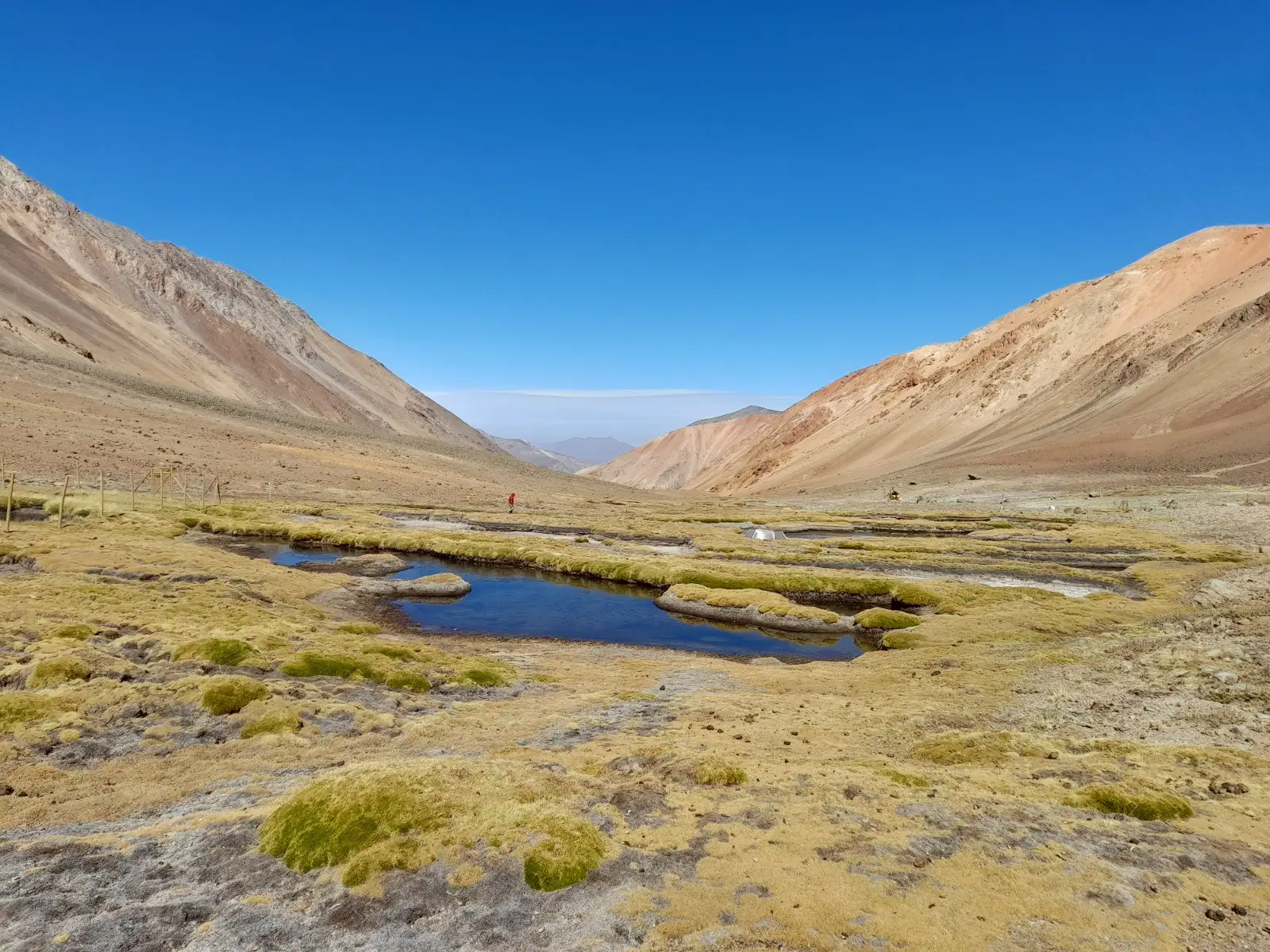 El centro Hémera se adjudica proyecto para la conservación de humedales en El Santuario de la Naturaleza Los Nogales