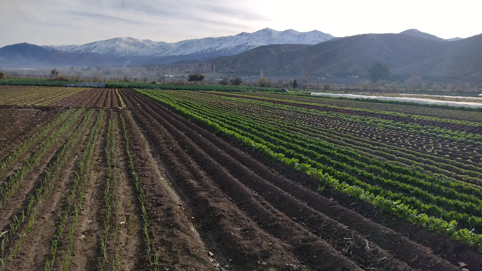 Hémera realiza el 20 de junio el lanzamiento del observatorio de sequía para la agricultura y la biodiversidad de Chile (odes) en la ciudad de San Felipe, Región de Valparaíso