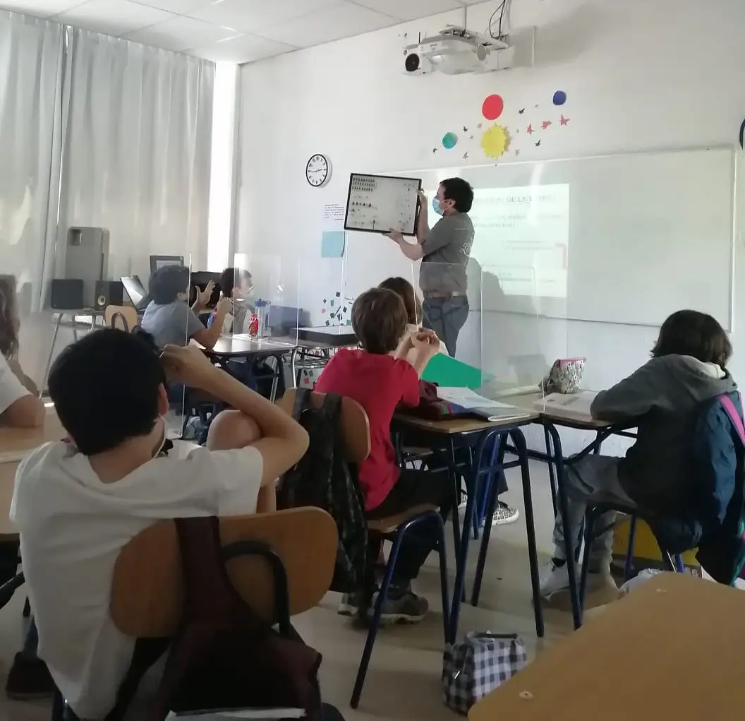 Investigador Paul Amouroux realizará 19 talleres sobre la importancia de los insectos a niños y vecinos de Vitacura