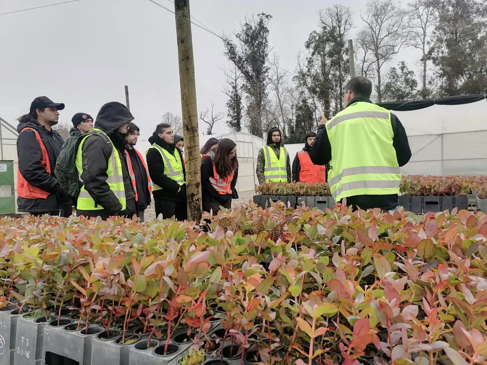Centro Hémera e Ingeniería Forestal desarrollaron la práctica estival ii 2024 en la Región de los Lagos