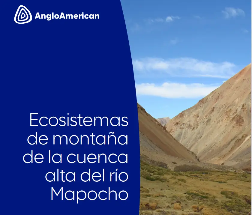 Ecosistemas de montaña de la cuenca alta del río Mapocho